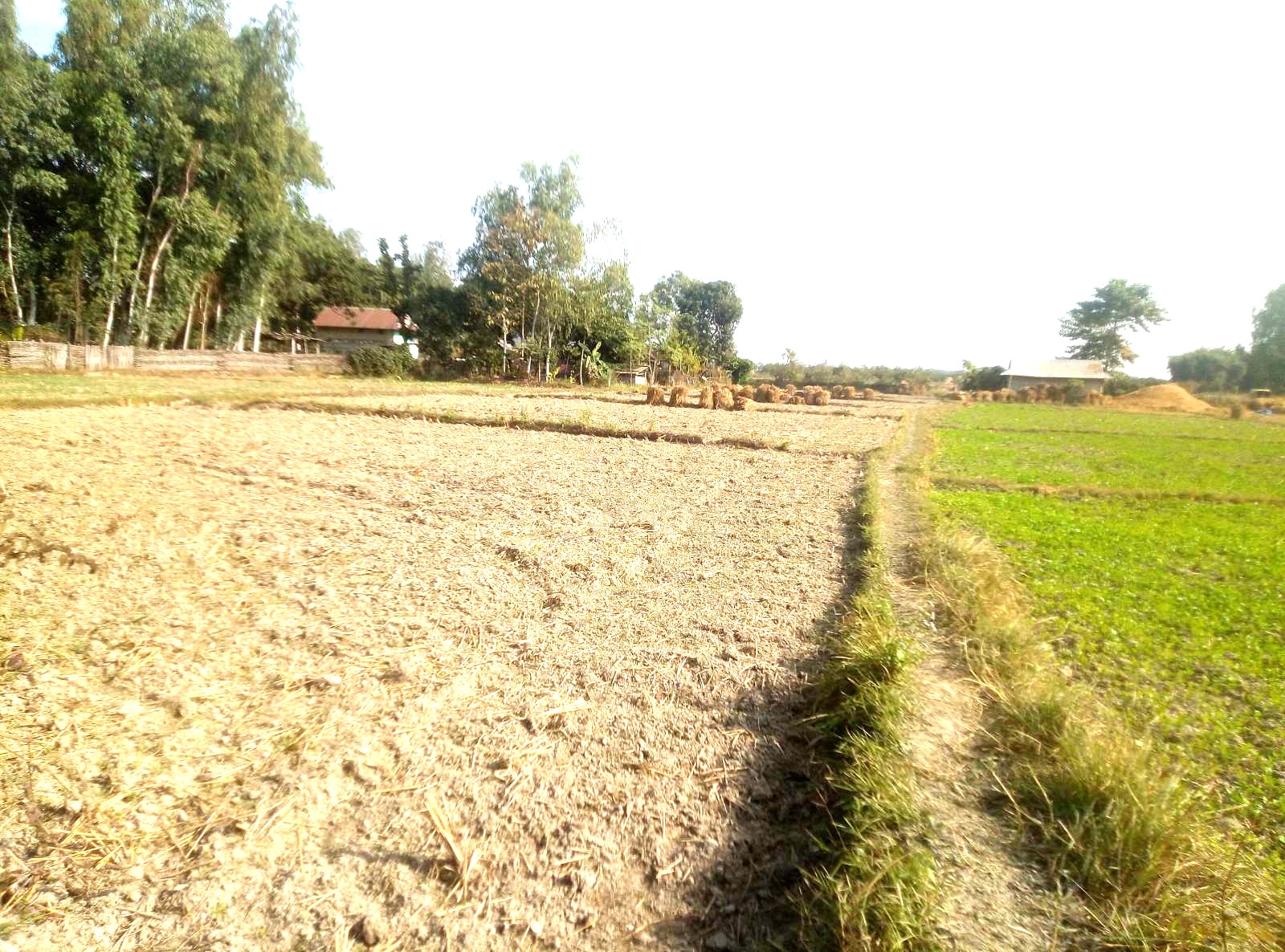 Picture of Inaruwa Municipality, Koshi